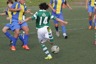 女子冰球赛中，中国女队逆转韩国展现强大实力，中国女子冰球联赛